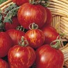 Pomodoro 'Tigerella'
