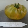 Pomodoro 'Aunt Ruby'